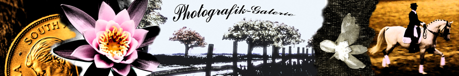 Logo-Photografik-Galerie